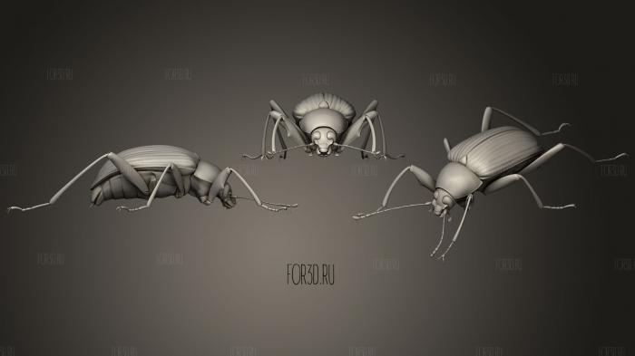 Insect beetles 142 stl model for CNC